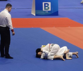 开云娱乐-柔道友谊赛掀起高潮，徽州白虎队淘汰对手江畔天狼队，战至最后一刻——防线高度稳定的简单介绍