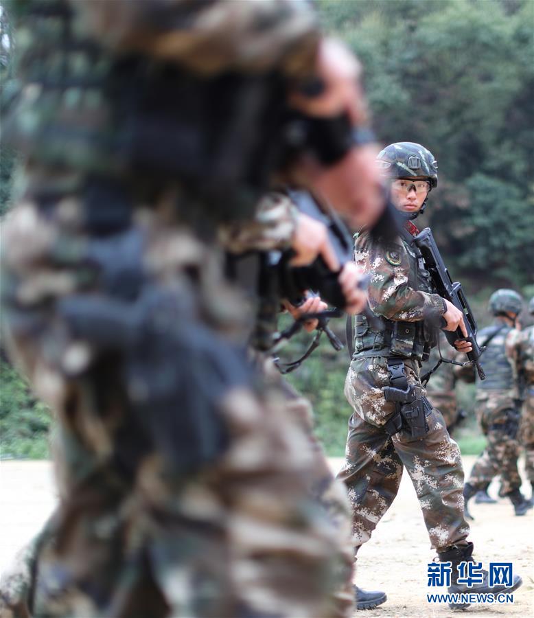 洞庭雪豹队鏖战江南暴熊队,射击附加赛火力全开,转换速度占优。防守强度拉满 洞庭雪豹队鏖战江南暴熊队,射击附加赛火力全开,转换速度占优。防守强度拉满